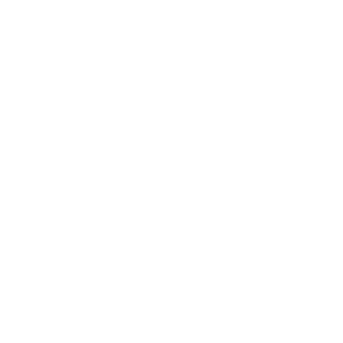 wallet-icon